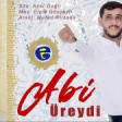Elcin Goycayli - Ureydi Abi 2019 YUKLE.mp3