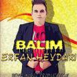 Yeni Balim Mp3 Yukle Erfan Heydari