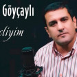 Elsever Goycayli - Gencliyim (YUKLE).mp3