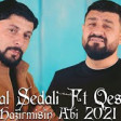 Tural Sedali ft Qesem - Hazirmisin Abi 2021(YUKLE)