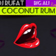 Dj Rufat ft Big Ali - Coconut Rum (Remix)