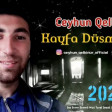 Ceyhun Qelbinur - Kayfa Dusmusem 2021(YUKLE)