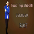 Fuad Agcabedili - Senuber 2017 ARZU MUSIC