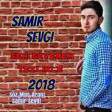 Samir Sevgi - Dostum 2019 YUKLE.mp3