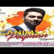 Peyman Keyvani Canimsan 2019 YUKLE.mp3