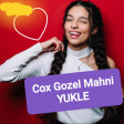 Cox Gozel Herkesin Sevdiyi Mahni - Divane  2019