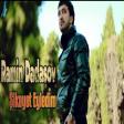 Ramin Dadasov - Sikayet Eyledim 2023 (Super Mahni)