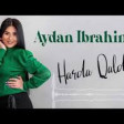 Aydan Ibrahimli - Harda Qaldi (2020) YUKLE.mp3