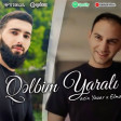 Yasin Yazar ft Elmeddin Hesenli Qelbim Yarali 2024 yukle