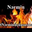 Elvin Nasir - Nərmin 2020 YUKLE.mp3
