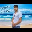 Ferhad Bicare İki Aileli İnsanin Gizli Sevgsi 2019 YUKLE.mp3