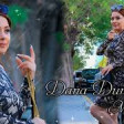 Dana Durdana - Turkish Mashup 2019 YUKLE.mp3