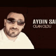 Aydin Sani - Olan Oldu 2018