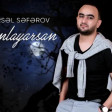 Mursəl Seferov - Sen Anlayarsan 2021(YUKLE)