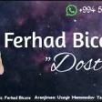 Ferhad Bicare - Dostum Indi Sevgi Mehebbetmi Var 2020 YUKLE.mp3