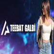 Arabic Remix - Teebat Galbi (Remix) 2021