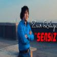 Zaur Quluzade - Sensiz 2022
