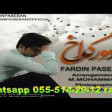 Fardin Paseban Dur Gedek 2019 YUKLE.mp3