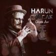 Harun Kolcak ft irem Derici - Gir Kanima 2016