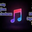 Ses yazzma ve Aranjiman studyasi 055 423-01-81