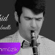 Zahid Sabirabadli - Vagzali 2020 YUKLE.mp3