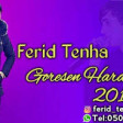 Ferid Tenha - Goresen Hardadi 2019 YUKLE.mp3