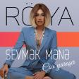 Roya - Seni sevmek mene cox yarasir (Dj Spider remix)