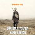Gönlüm Ataşlara Yandı Gidiyor