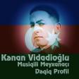 Kenan Vidadioglu Gozumden Duşmusen Sen (Şeir 2018