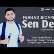 Ferhad Bicare - Sen Deli Seytanimsan 2020 YUKLE.mp3
