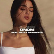 DNDM Hilola ft Samirazar - Elfida Original Mix 2022
