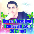 Kenan Vidadioglu Logosuz  Tenhayam (Seir) 2017
