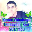 Kenan Vidadioglu Logosuz  Tenhayam (Seir) 2017