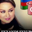 Melekxanim_Eyyubova_-_Men_nece_bagban_olaram_