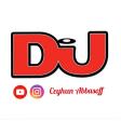 Ceyhun Abbasoff - Despacito 2018 Remix