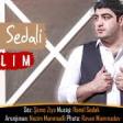 Ramil Sedali - Zalim 2020 YUKLE.mp3