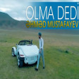 Ehmed Mustafayev - Olma Dedi 2019 Yukle