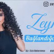 Zeyneb Heseni - Baglandigim insan (2018) YUKLE MP3