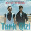 Ali Rostami ft Reza Yari - Turk Qizi 2019 (Скачать)
