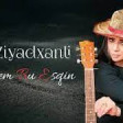 Aida Ziyadxanli - Delisiyem Bu Esqin 2020 YUKLE.mp3
