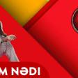 Dana Durdana - Adım Nedi 2019 YUKLE.mp3