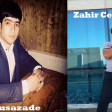Niyazi Musazade ft Zahir Celilabadli - Vefasiz 2017