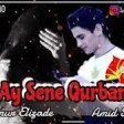 Amid Seda - Ay Sene Qurban 2019 YUKLE.mp3