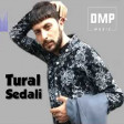 Tural Sedali - Hesretin Qonaglari 2018 DMP Music