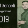 Ferid Genceli-Xatirlayacaqsan 2019 YUKLE.mp3