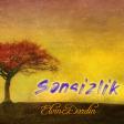 Elvin Dardin Sensizlik