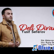 Yusif Seferov - Deli Divane 2020 YUKLE.mp3