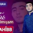 Elnur Qala - Tek Qalmışam 2019 YUKLE.mp3