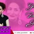Zahide Gunes Gelmedin 2019 YUKLE.mp3