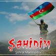 Söhret Memmedov - Şehidim 2020 YUKLE.mp3